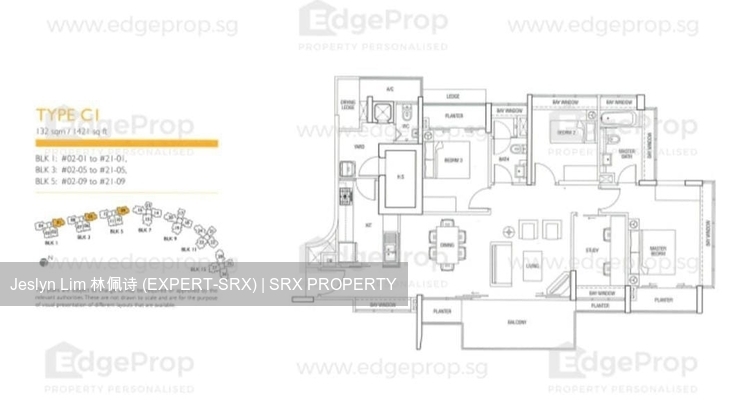 The Parc Condominium (D5), Condominium #504310031